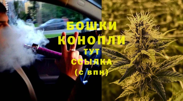 гашик Балахна