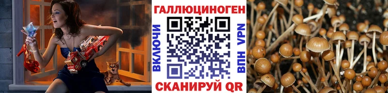 это телеграм  Заинск  Галлюциногенные грибы Psilocybe 